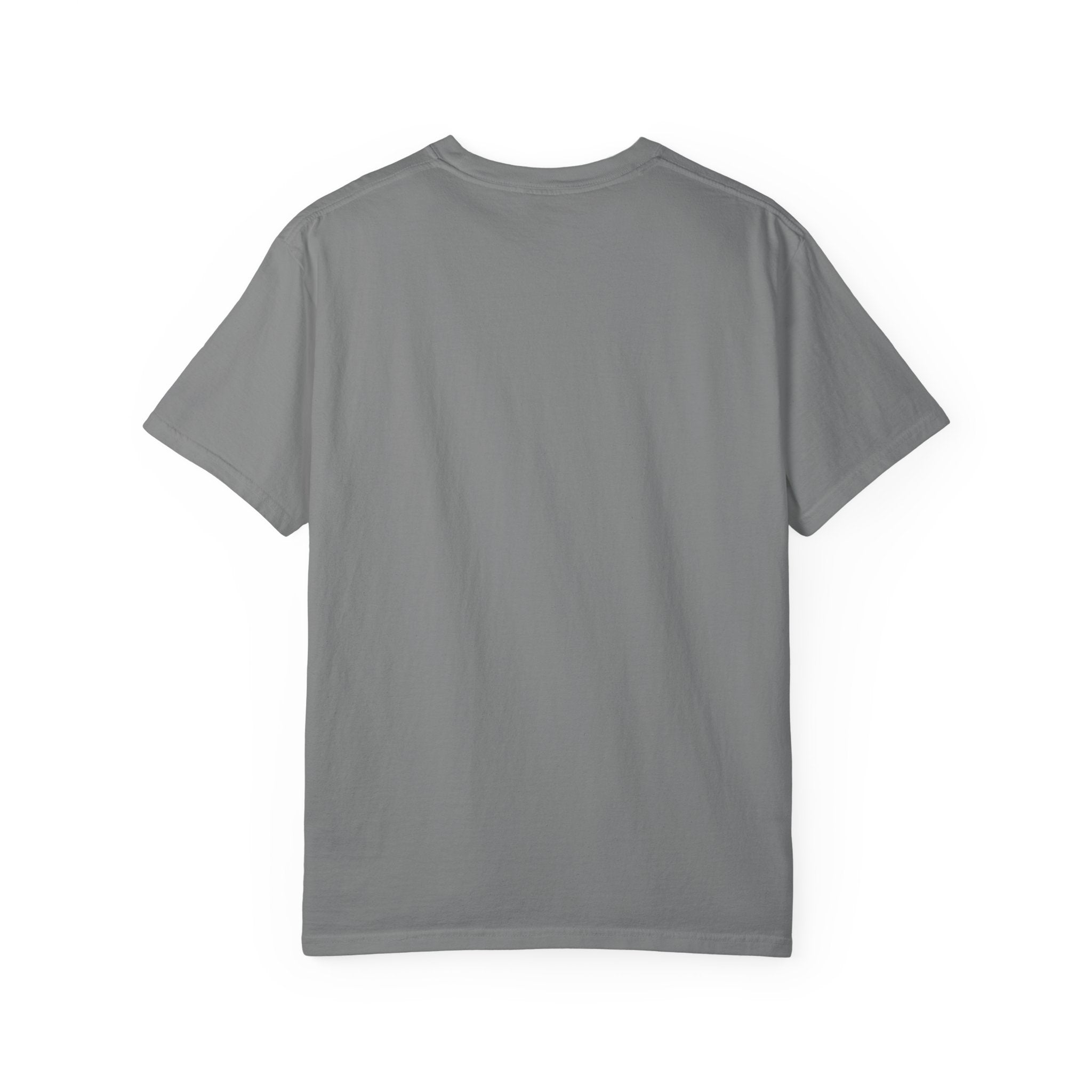 Outlaw Legend Tribute T-Shirt — David Allan Coe Memorial Graphic Tee