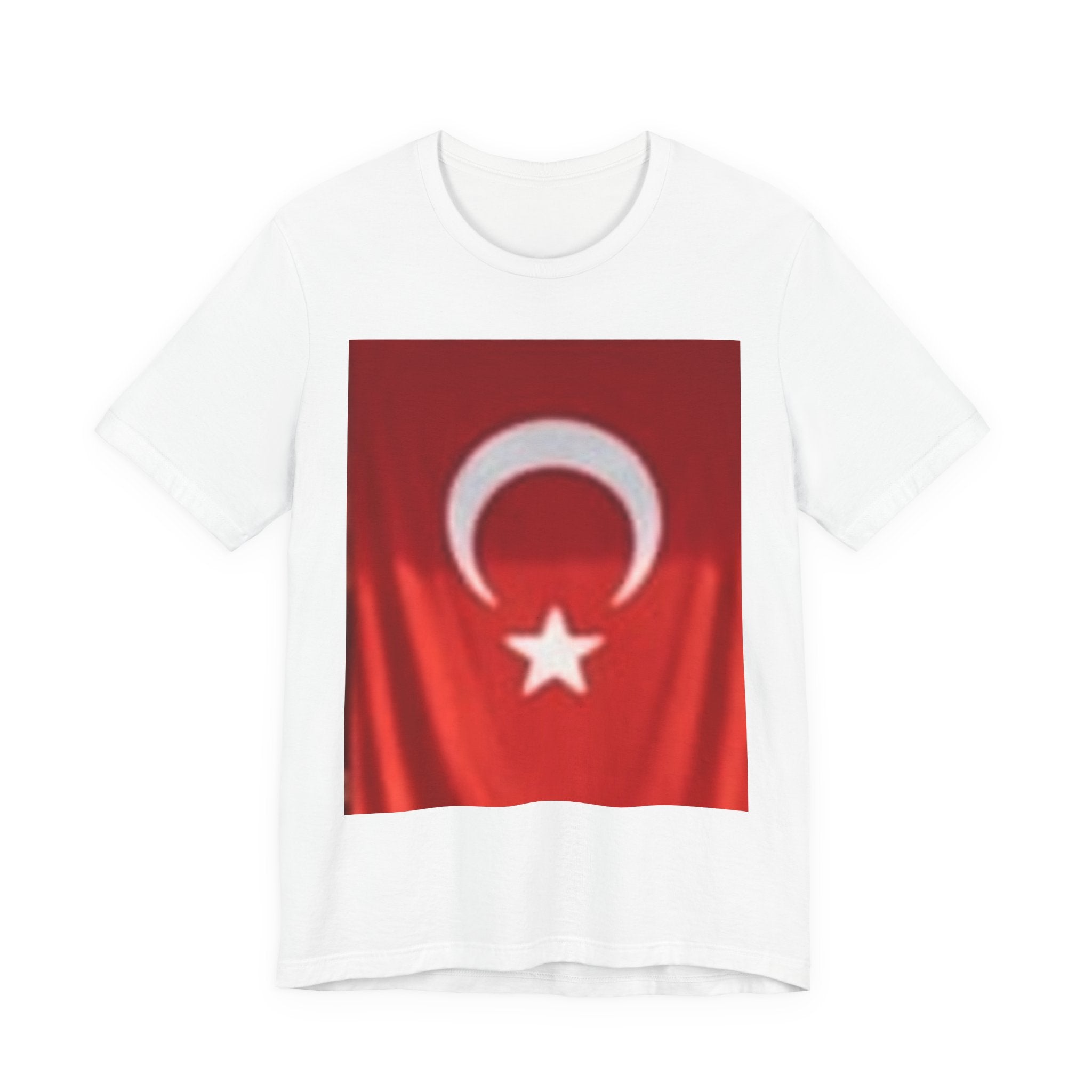 Unisex Jersey Short Sleeve Tee with crew neck, regular fit, soft Airlume cotton and short sleeves