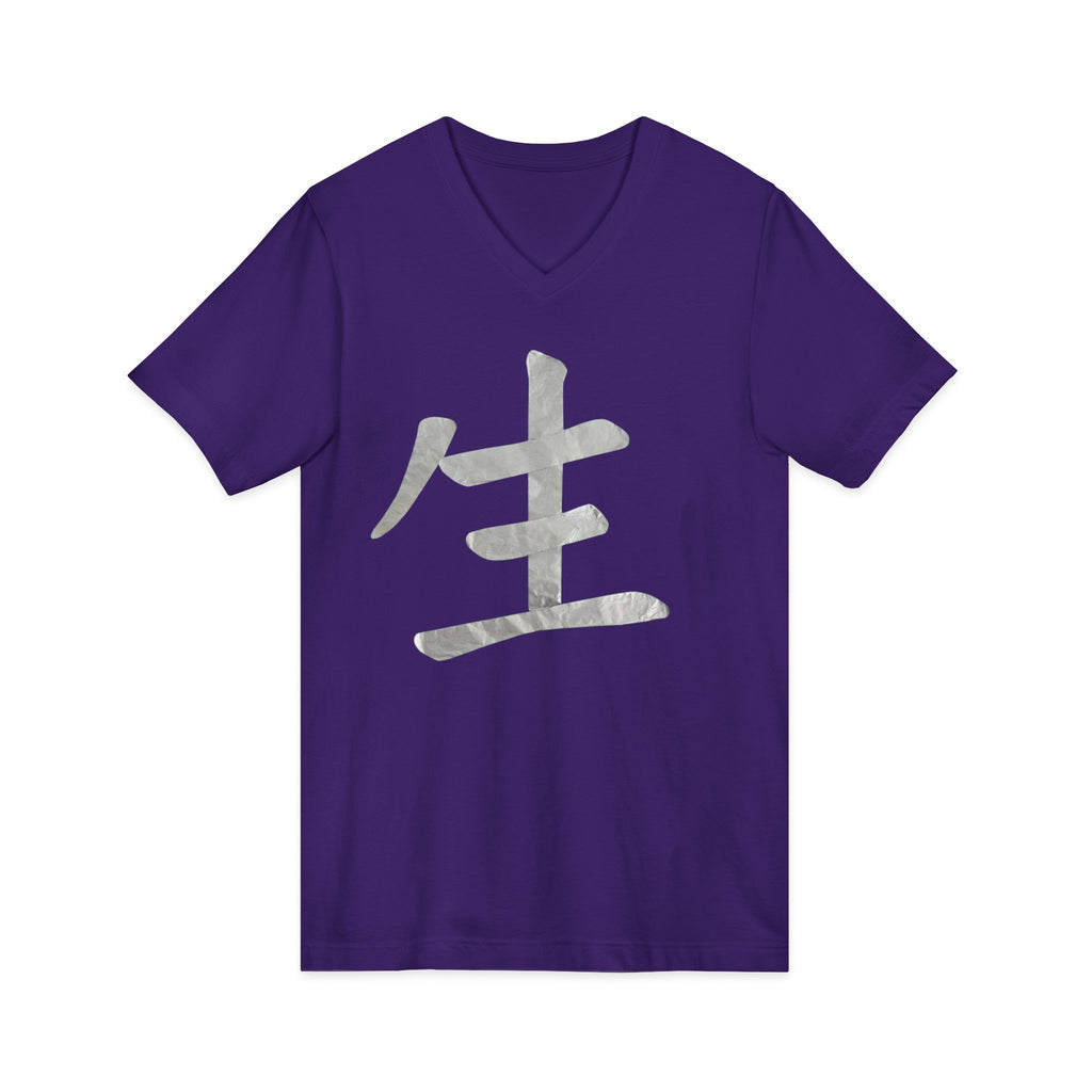 Unisex Jersey Short Sleeve V-Neck Tee