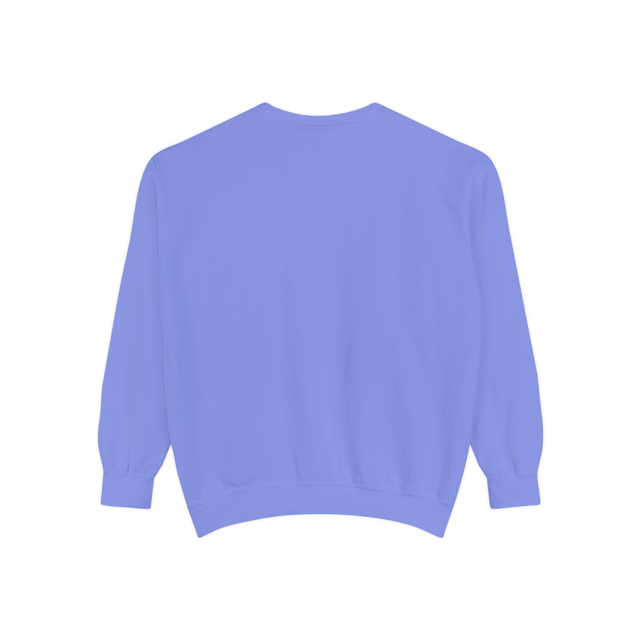 Bear Graphic Cotton Sweatshirt