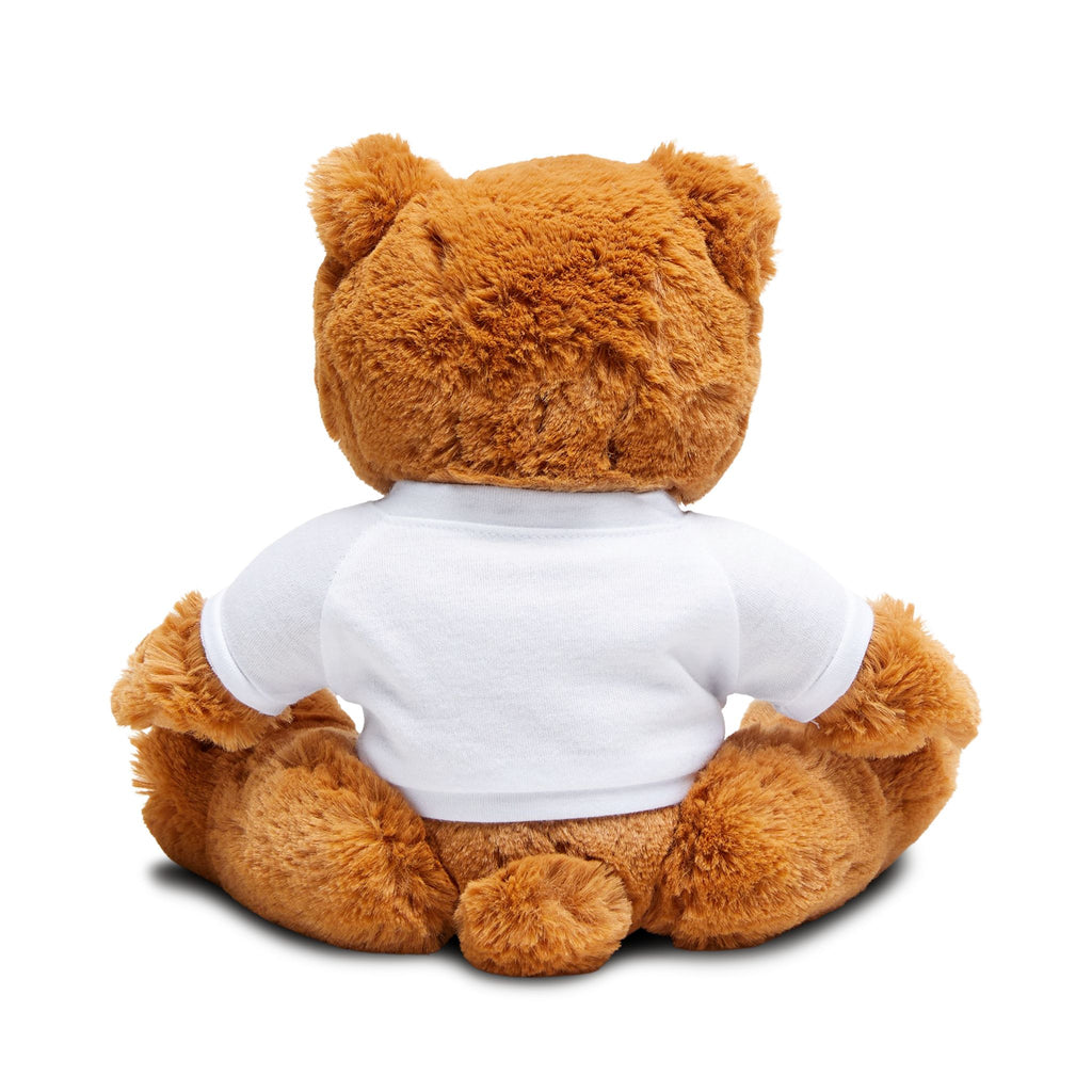 Custom Teddy Bear Plush