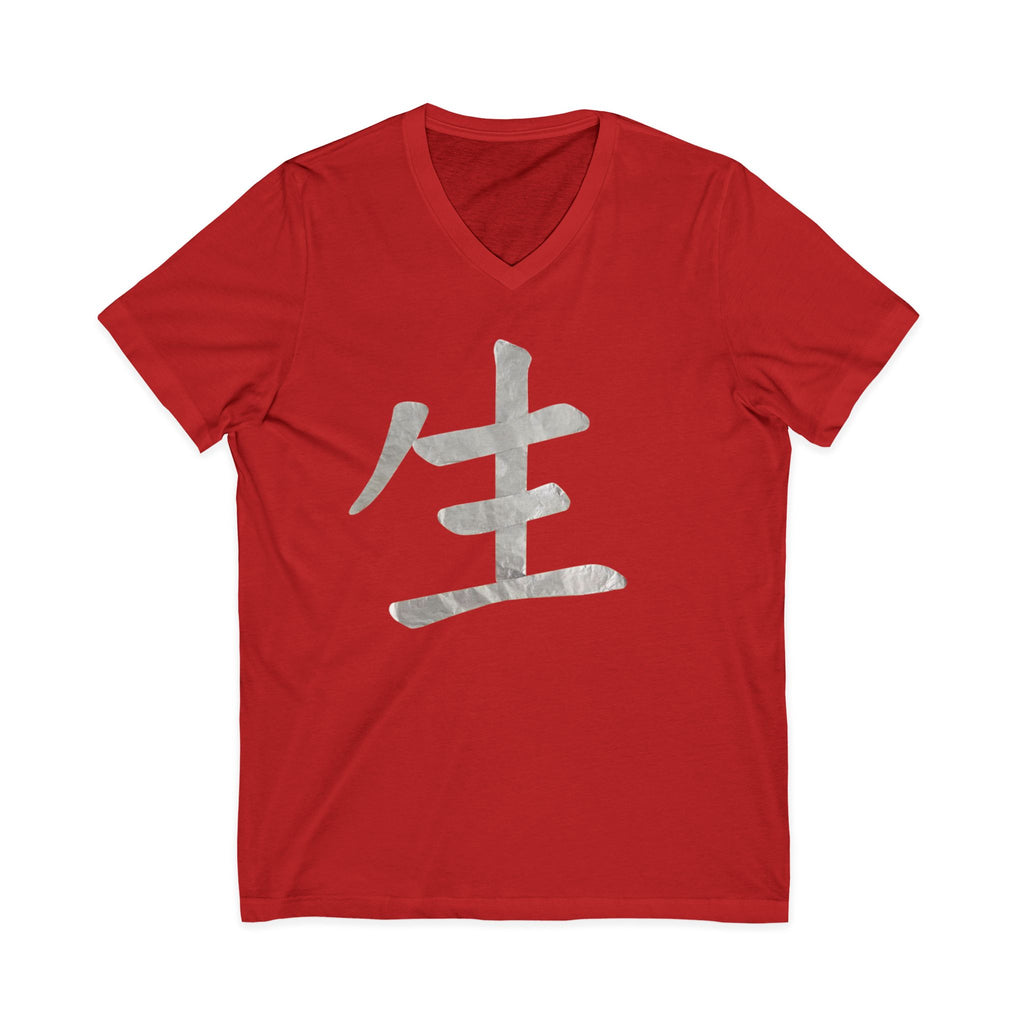 Unisex Jersey Short Sleeve V-Neck Tee
