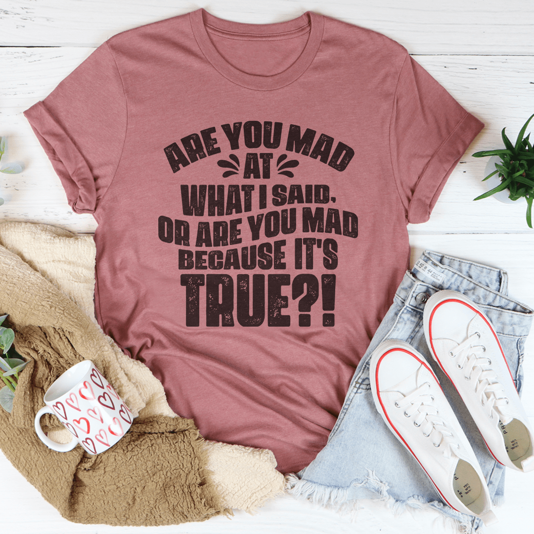 Are You Mad At What I Said Or Are You Mad Because It's True unisex soft cotton graphic T-shirt with short sleeves